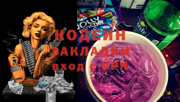 индика Вязники