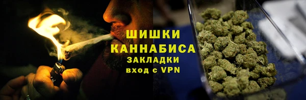 шишки Волосово